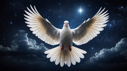 Fototapeta premium A majestic white dove in flight against a twilight sky filled with stars and a fading sunset, ethereal.