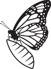 butterfly side view silhouette design vector art illustration