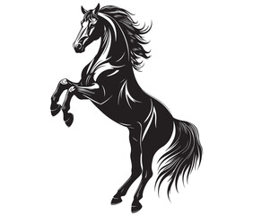 Jumping horse isolated on white background
