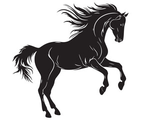 Jumping horse isolated on white background