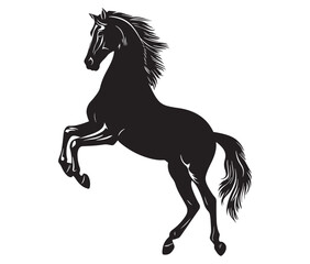 Jumping horse isolated on white background