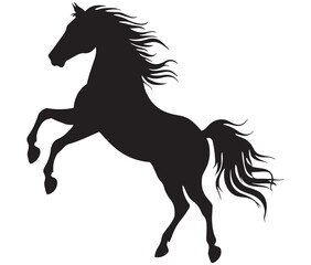 Jumping horse isolated on white background