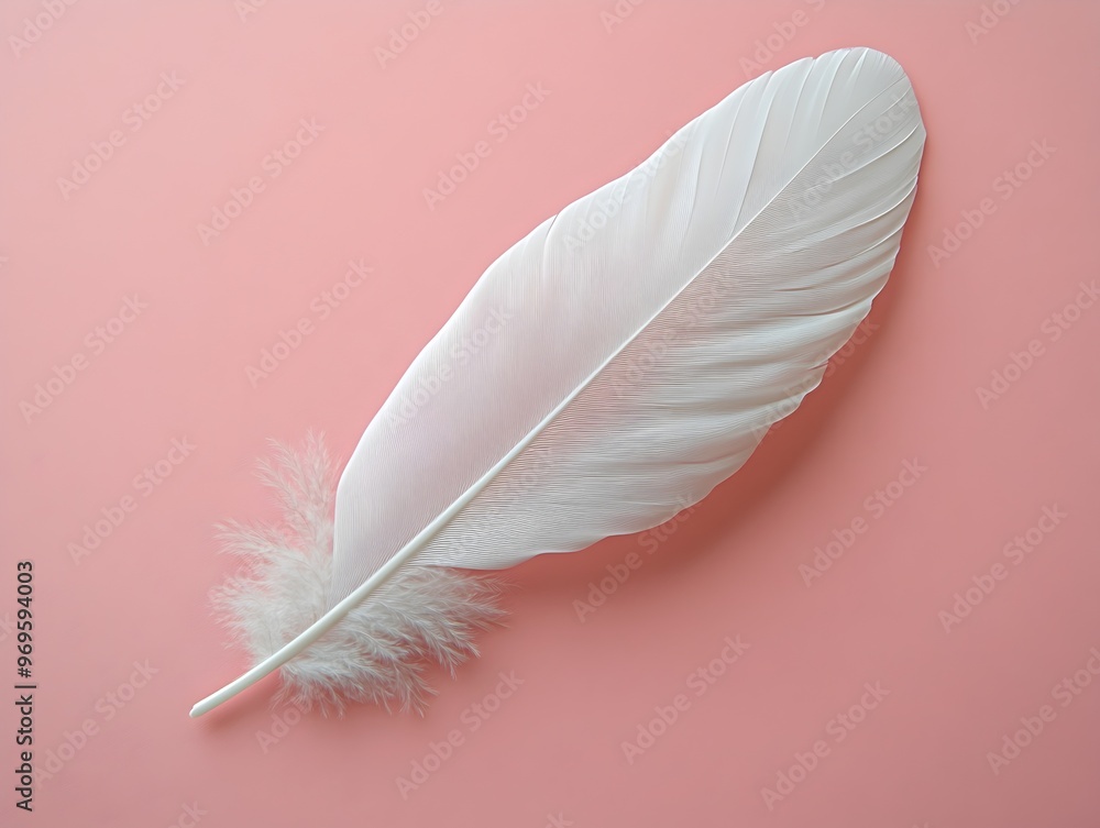 Poster a close up photograph of a single soft white feather gently resting on a serene pastel pink backgrou