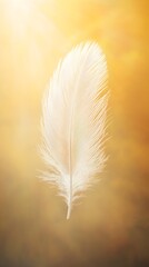 A single delicate white feather drifting weightlessly through a sunlit hazy atmosphere creating a serene and contemplative minimalist artwork  The feather s wispy ethereal evokes a sense of peace