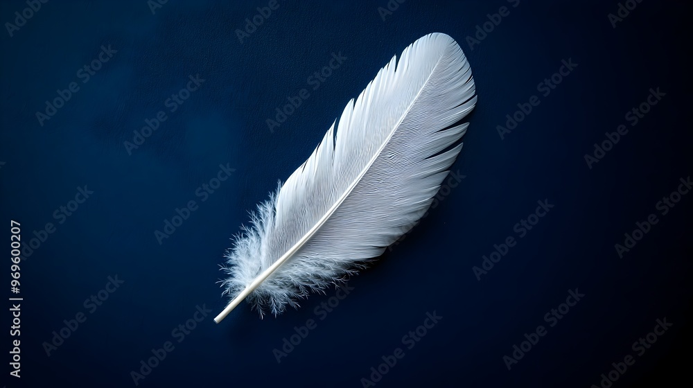 Poster a single pristine white feather floating effortlessly against a deep navy blue backdrop creating a m