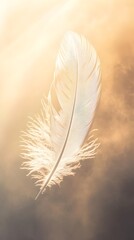 A single delicate white feather gently drifting and floating through a serene luminous hazy atmosphere bathed in soft sunlight  An ethereal contemplative and tranquil digital