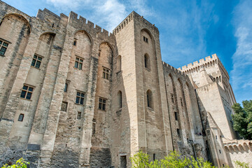 Fototapeta premium Notre Dame des Doms Cathedral in Avignon, France