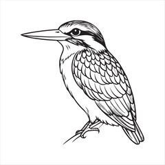 Fototapeta premium A Kingfisher Bird Vector Art Illustration