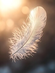 Captivating image of an intricate feather delicately descending through the air catching the sunlight with a luminous ethereal glow  The wispy delicate texture creates a serene peaceful ambiance