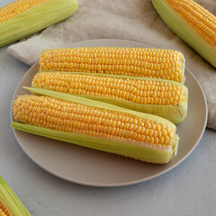 Fresh Raw Yellow Sweet Corn on the Cob, side view.