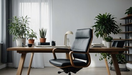 Minimalist home office with ergonomic chair and plant accent.