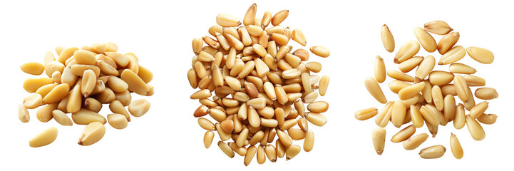 set of pine nuts isolated on a transparent background