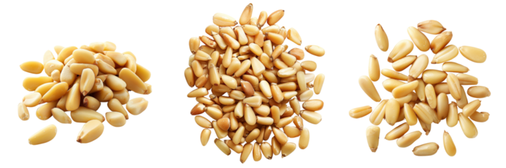 set of pine nuts isolated on a transparent background