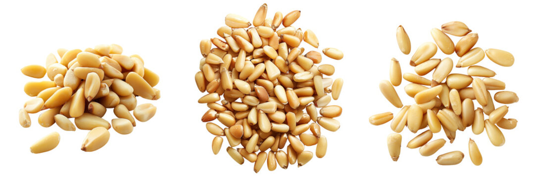 set of pine nuts isolated on a transparent background