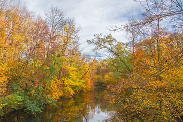 Fototapeta premium autumn photos in bavaria ingolstadt 