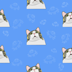 The pattern (infinite picture) of the cat meme is a gray surprised cat. The illustration is made in cold colors. The picture conveys a joke, humor, meme, surprise.