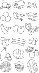 Fototapeta premium Vegetables set. Basic vegetables thin line icons, Doodles elements vegetables and fruits. Vegetarian food