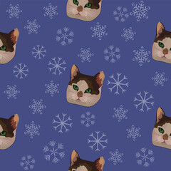 The pattern (infinite picture) of the cat meme is a white and brown cat that is unhappy. The illustration is made in cold colors. The picture conveys a joke, humor, meme.