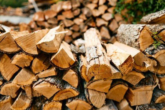 Fototapeta rustic woodpile and logs in natural setting with green bush in background