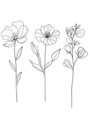 Set of vector one line flowers. Minimalist line art. Continuous contour hand drawn. One line artwork for stylish decor on wall or greeting card
