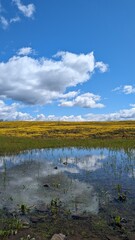 lake and sky