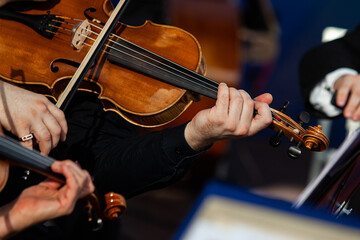 Viola in the hands of a musician in a symphony orchestra © furtseff