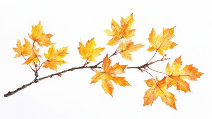 Fototapeta premium Autumn Watercolor Painting of Orange Leaves on Branch