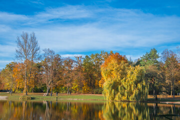 Ingolstadt, Auwaldsee, beautiful autumn view in the park by the lake