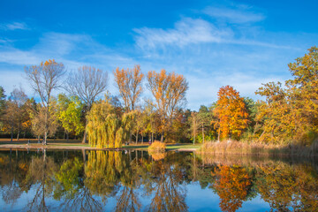Ingolstadt, Auwaldsee, beautiful autumn view in the park by the lake