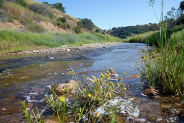With a focus on clean water and reintroduced wildlife, the river restoration project aims to rehabilitate the ecosystem, supporting diverse species and improving overall river health