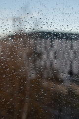 raindrops on the window
