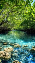 Obraz premium A tranquil scene of a mangrove forest with clear blue water, showcasing the biodiversity and beauty of coastal ecosystems