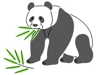 Panda, chinese panda chewing bamboo. Panda bear, animal, wildlife and zoo, illustration