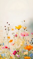 A field of colorful wildflowers with a gentle breeze, captured against a solid light color background, emphasizing their natural beauty