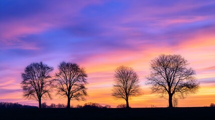 Silhouetted trees against a colorful sunset sky, with soft clouds reflecting the fading light, creating a serene atmosphere