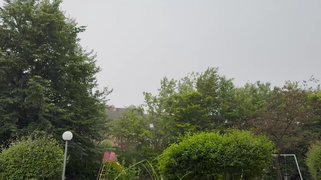 Schweres Unwetter Regenschauer und ablaufendes Regenwasser 