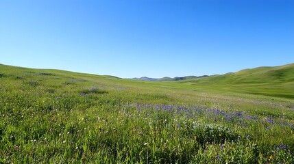 A vast green field stretching under a clear blue sky, dotted with wildflowers and a gentle breeze rustling through the grass