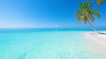 tropical paradise with palm trees white sand