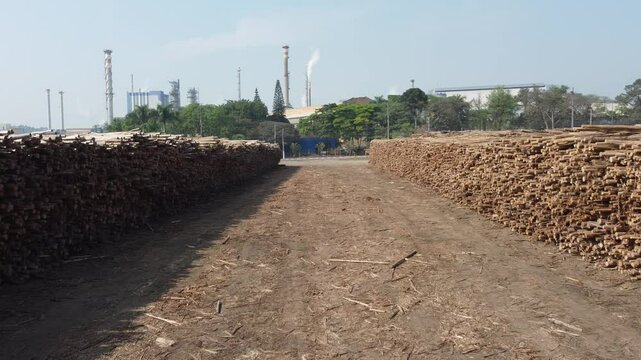 Madeira eucalipto cortada estoque para a produ&ccedil;&atilde;o de papel e celulose industrial em uma f&aacute;brica na cidade de suzano sp brasil