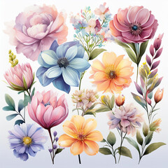 collection of soft pastel summer flowers isolated on a transparent background