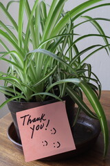 Una toma de cerca de una nota adhesiva con la palabra gracias escrita a mano pegada a una planta.