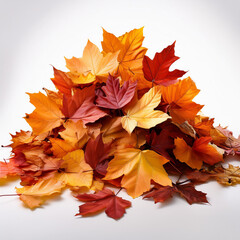 Fototapeta premium pile of fall leaves in a white background