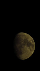 the moon in the night