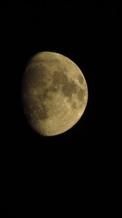 the moon in the night