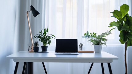 Minimalist Home Office Setup with Plants and Laptop