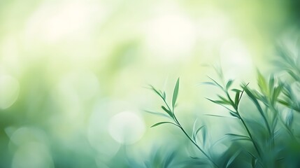 Obraz premium A soft green blur creating a serene and calming atmosphere, ideal for wellness and relaxation themes