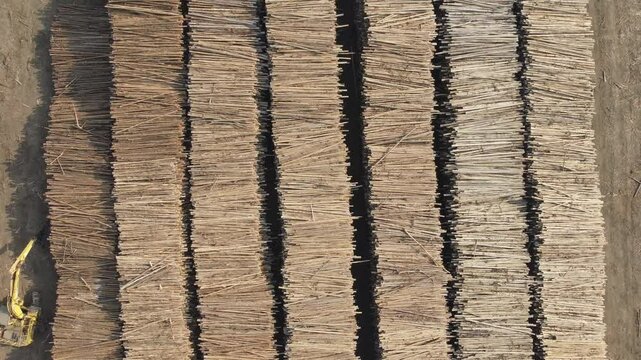 Vis&atilde;o a&eacute;rea toras de madeiras para a produ&ccedil;&atilde;o de papel e celulose