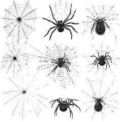 Obraz premium Vector black and white Halloween elements