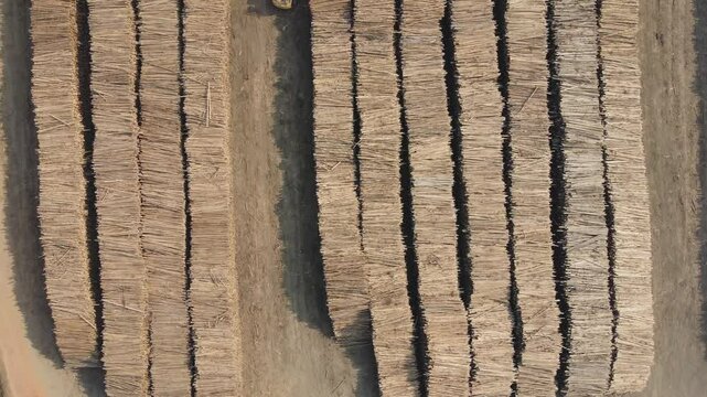 Vis&atilde;o a&eacute;rea de toras de madeiras eucaliptos para a produ&ccedil;&atilde;o de papel e celulose, suzano, s&atilde;o paulo