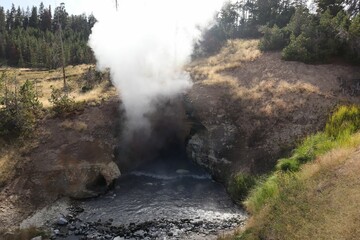 Geothermal steam vent in natural landscape